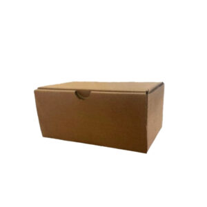 Caja salchipapa personal sin impresión